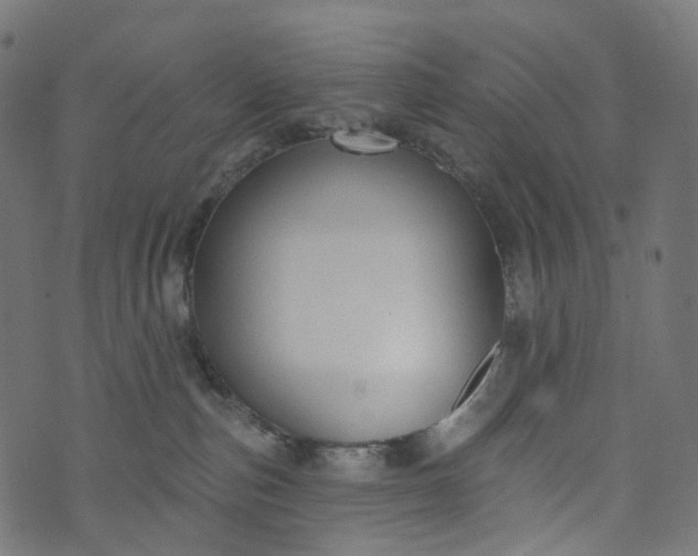 X0000073760187200608171406