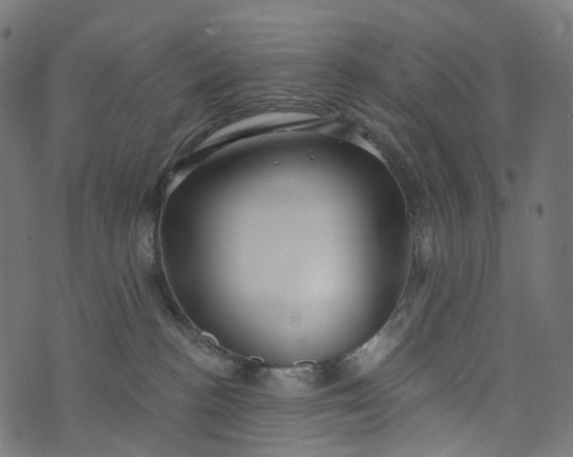 X0000073760188200608171406