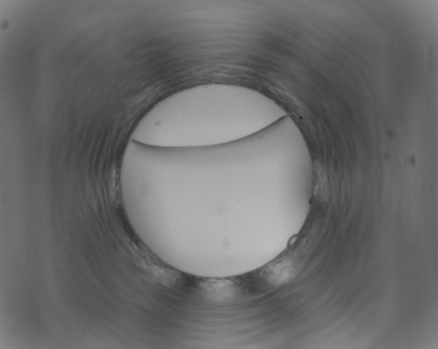 X0000073760189200608171406