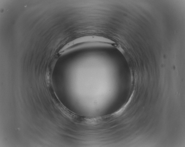 X0000073760190200608171406