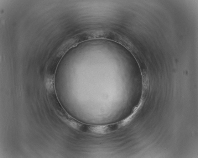 X0000073760191200608171406