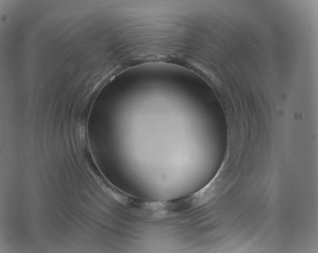 X0000073760192200608171406