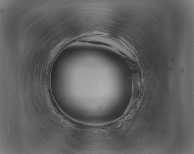 X0000073760193200608171405