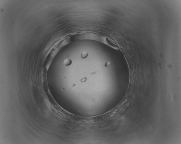 X0000073760194200608171405