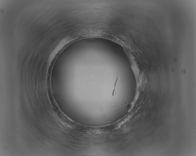 X0000073760195200608171405