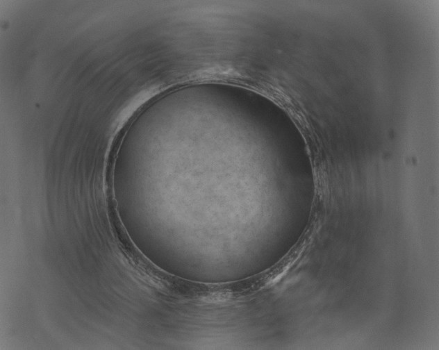 X0000073760196200608171405