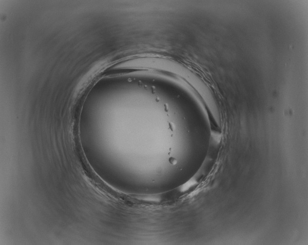 X0000073760197200608171405