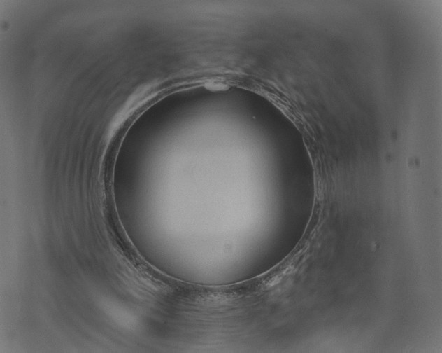 X0000073760198200608171405