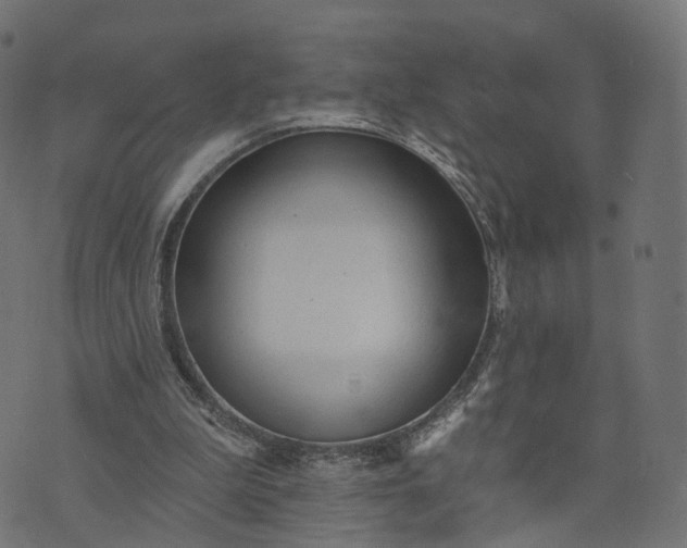 X0000073760199200608171405