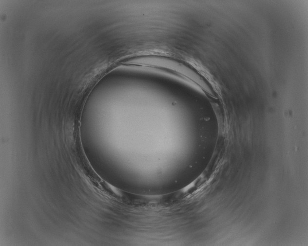 X0000073760201200608171405