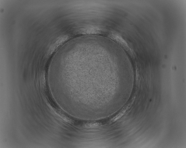 X0000073760202200608171405