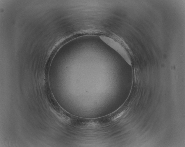 X0000073760204200608171405