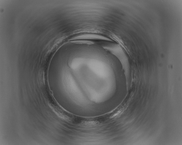 X0000073760205200608171405