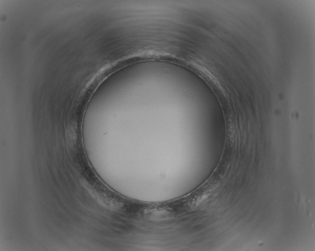 X0000073760208200608171405