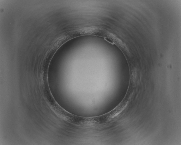 X0000073760209200608171405