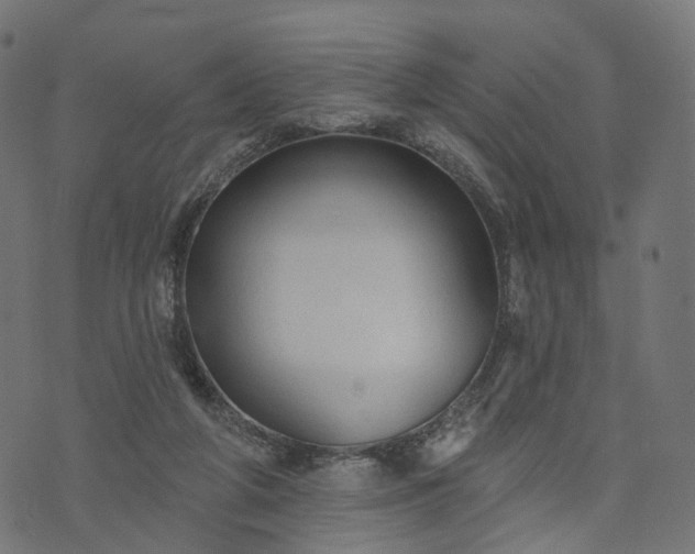 X0000073760210200608171405