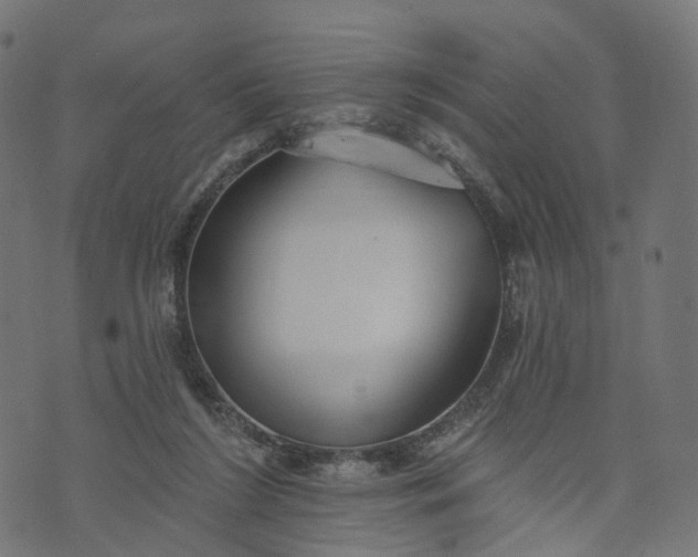 X0000073760212200608171405