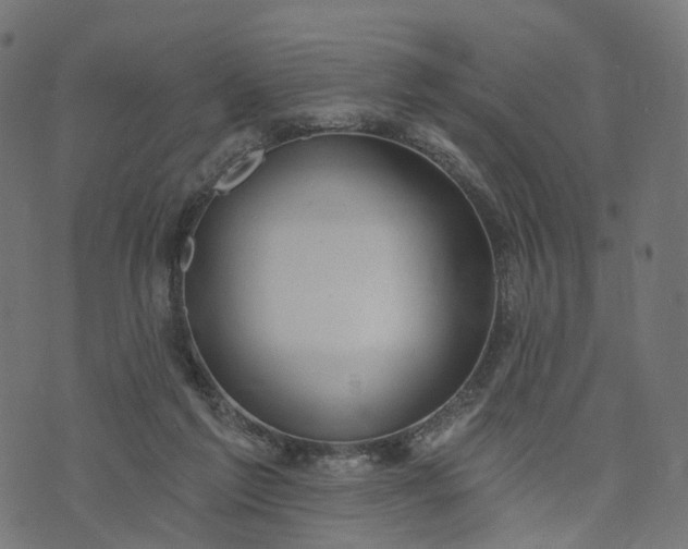 X0000073760213200608171405