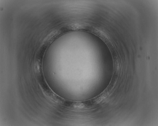 X0000073760214200608171404