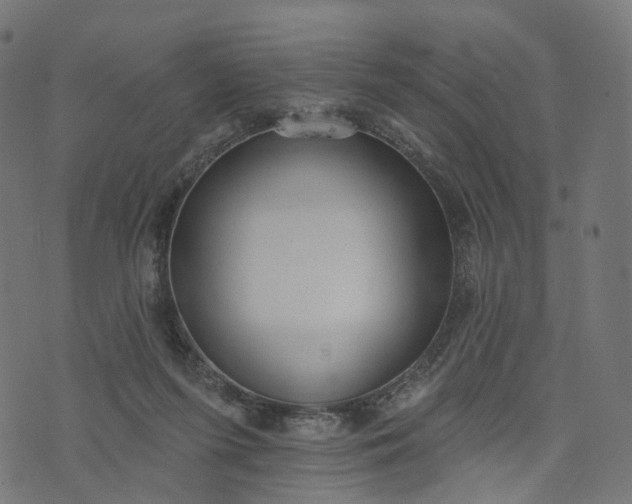 X0000073760215200608171404