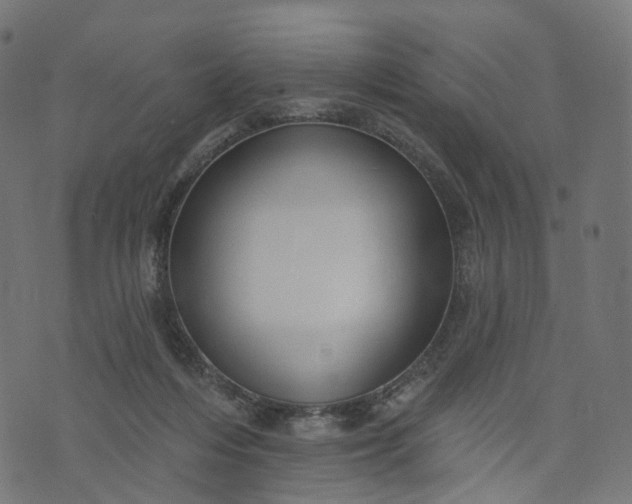 X0000073760216200608171404