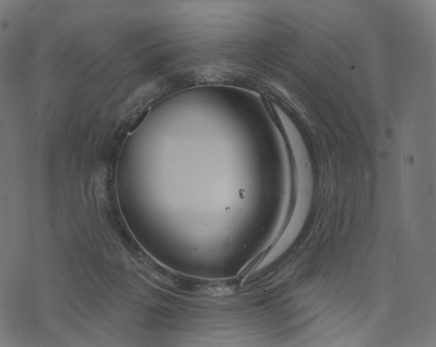 X0000073760217200608171404