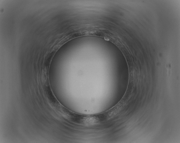 X0000073760218200608171404