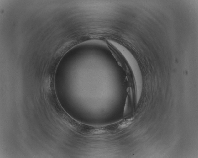 X0000073760219200608171404