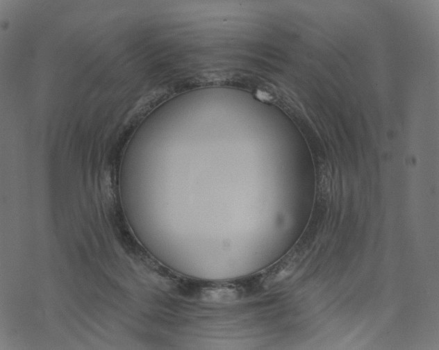 X0000073760220200608171404