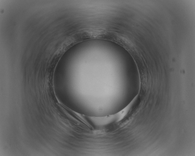 X0000073760221200608171404