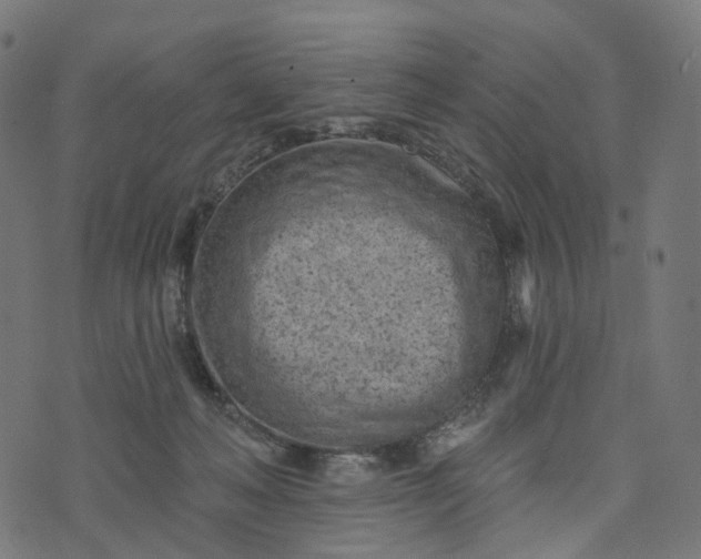 X0000073760222200608171404