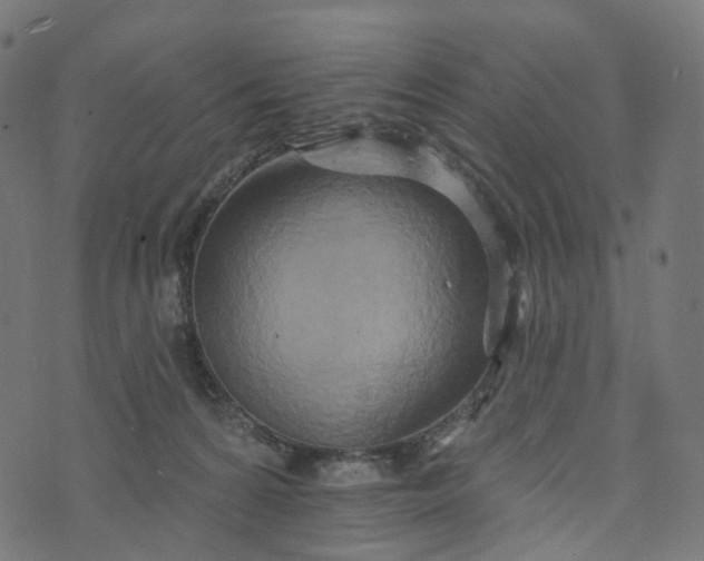 X0000073760224200608171404