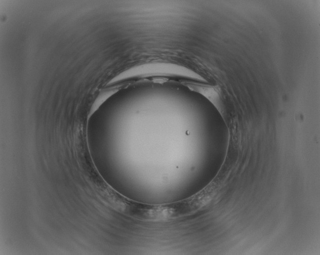 X0000073760225200608171404