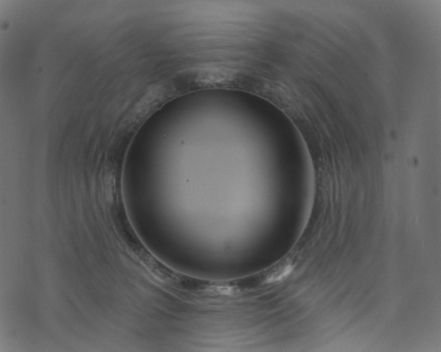 X0000073760227200608171404