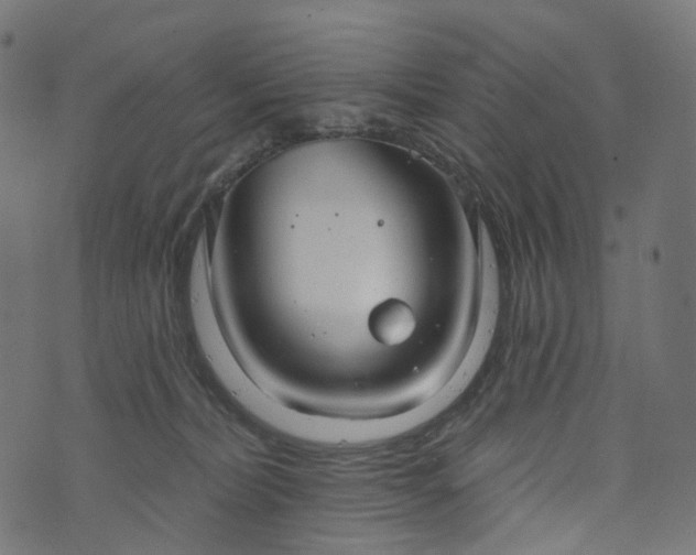 X0000073760228200608171404