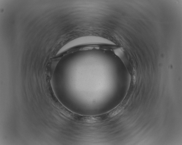 X0000073760229200608171404