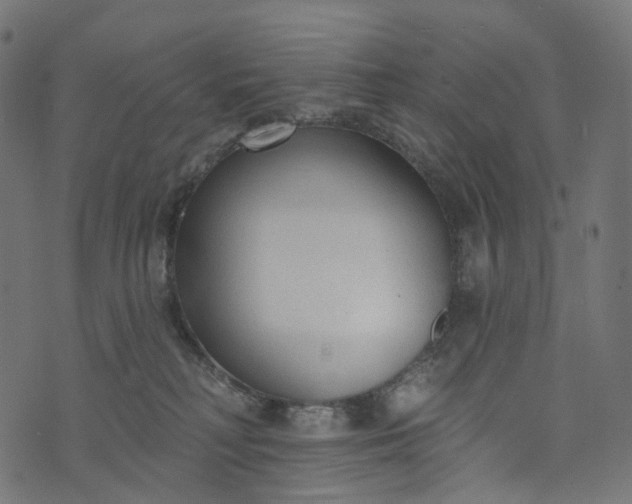 X0000073760230200608171404