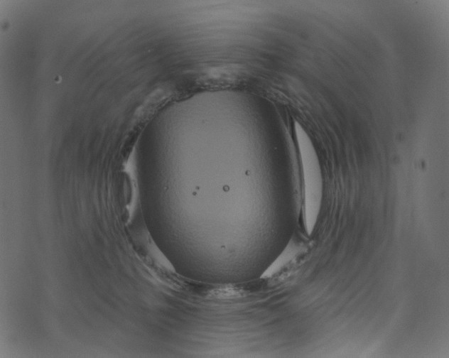 X0000073760231200608171404