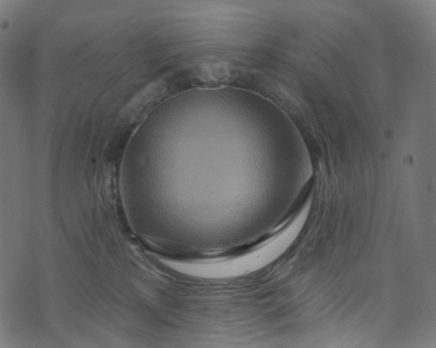 X0000073760233200608171404