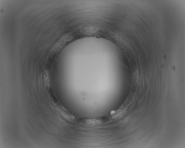 X0000073760234200608171404