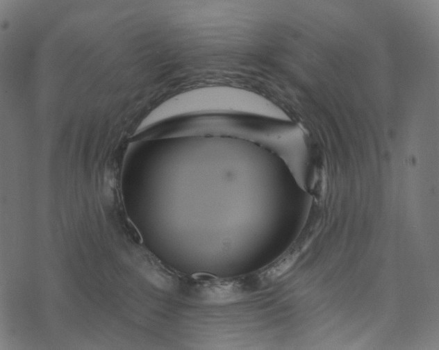 X0000073760235200608171404