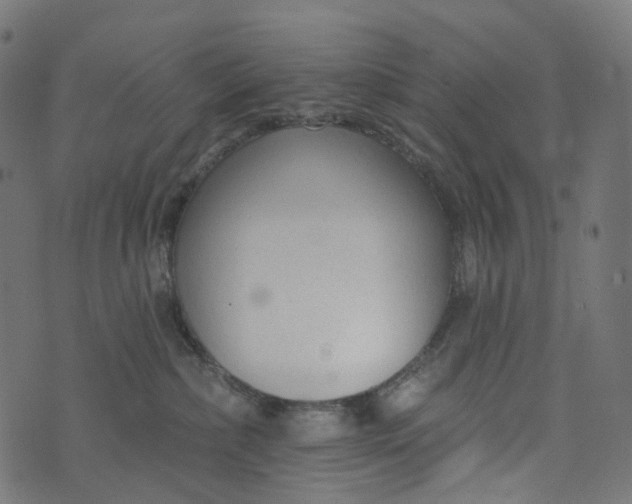 X0000073760236200608171404