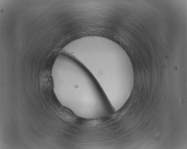 X0000073760237200608171404