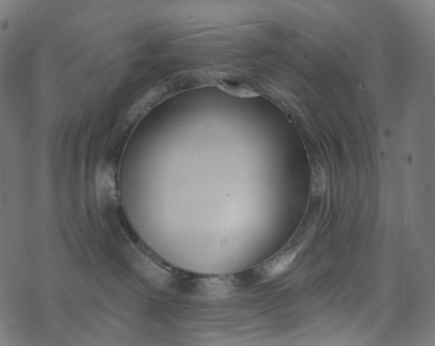 X0000073760238200608171404