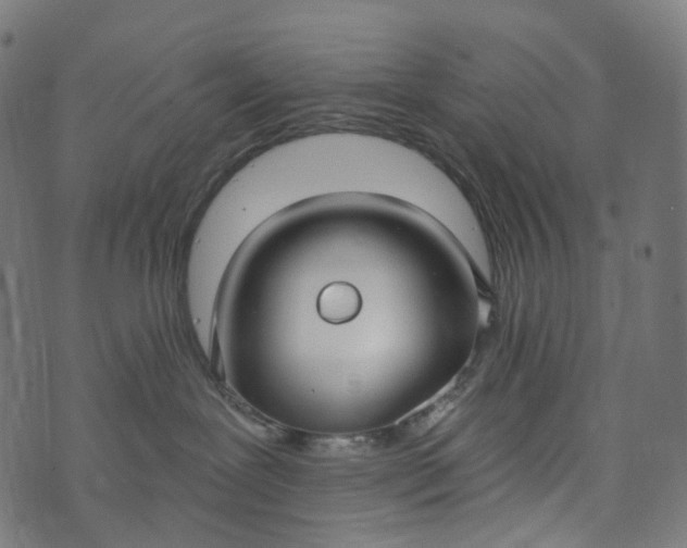 X0000073760239200608171404