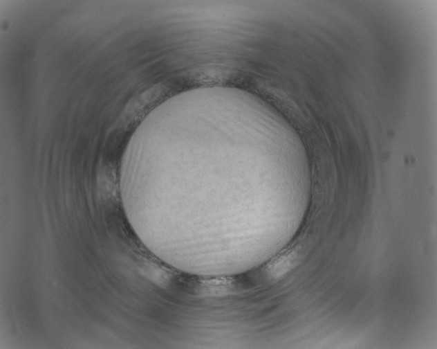 X0000073760240200608171404