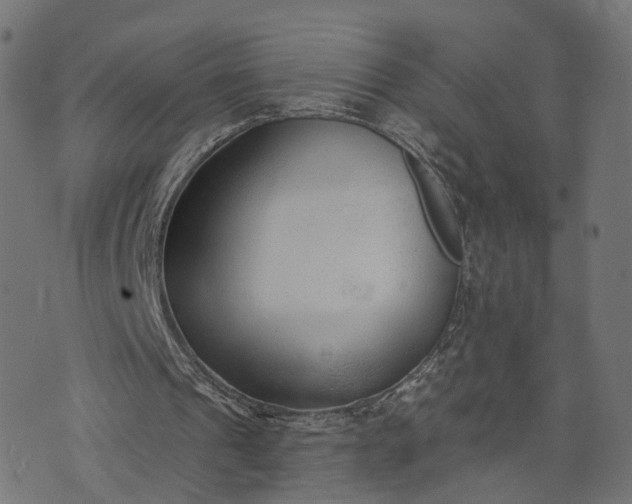 X0000073760241200608171403