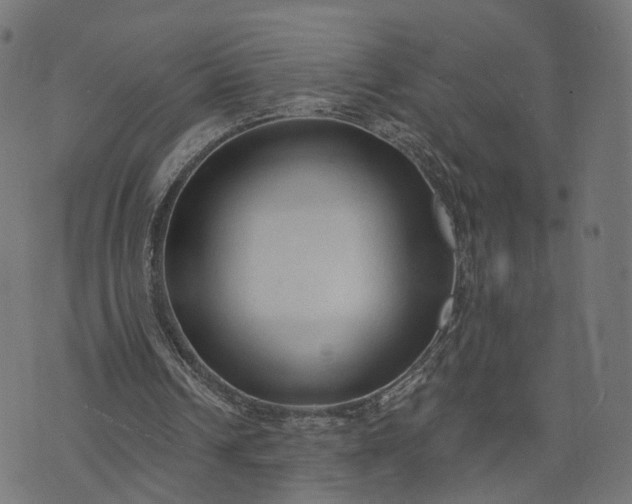 X0000073760242200608171403