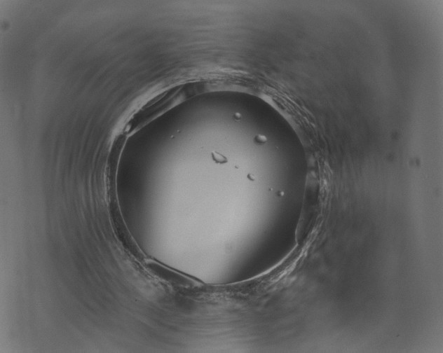 X0000073760244200608171403