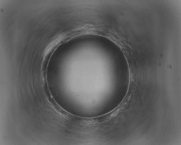 X0000073760245200608171403